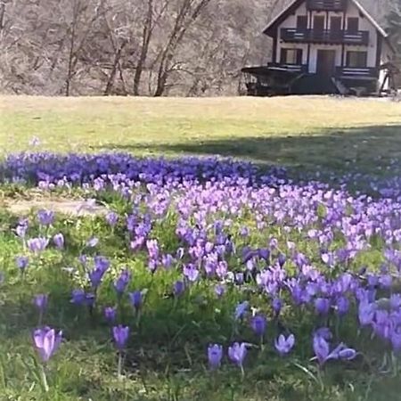 Casa De Vacanta Satic Piatra Craiului La Doi Viermi エクステリア 写真