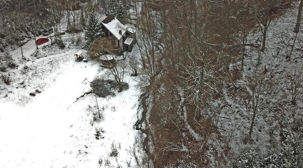 Casa De Vacanta Satic Piatra Craiului La Doi Viermi エクステリア 写真
