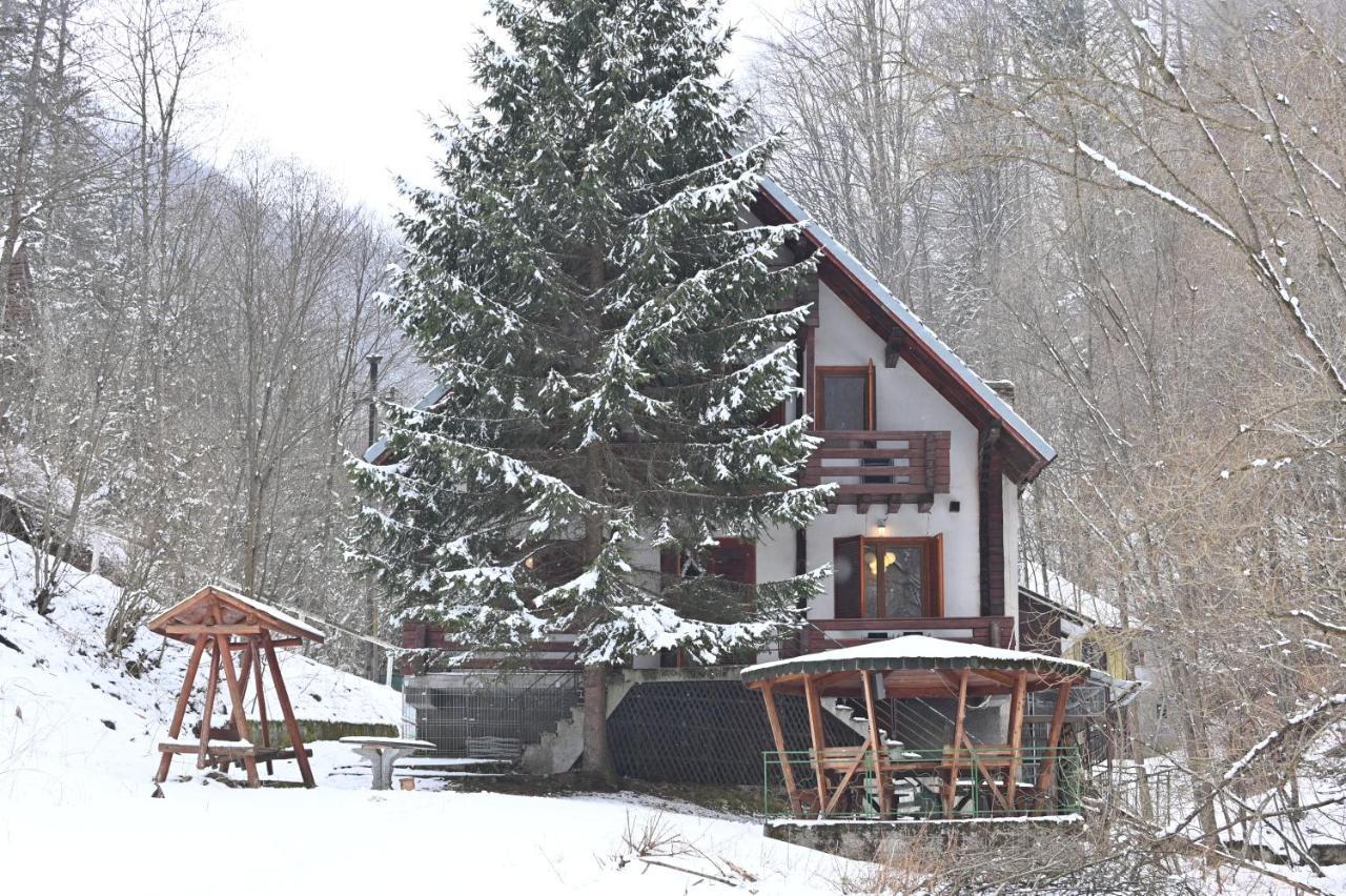 Casa De Vacanta Satic Piatra Craiului La Doi Viermi エクステリア 写真