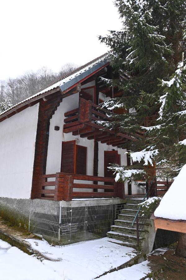 Casa De Vacanta Satic Piatra Craiului La Doi Viermi エクステリア 写真