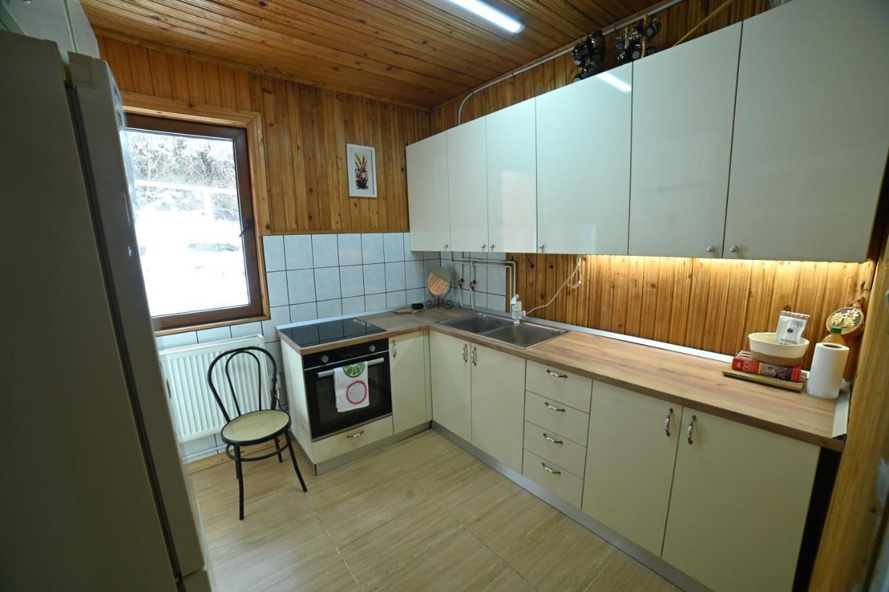 Casa De Vacanta Satic Piatra Craiului La Doi Viermi エクステリア 写真
