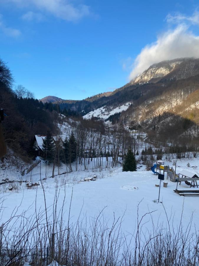 Casa De Vacanta Satic Piatra Craiului La Doi Viermi エクステリア 写真