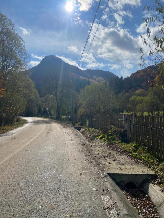 Casa De Vacanta Satic Piatra Craiului La Doi Viermi エクステリア 写真