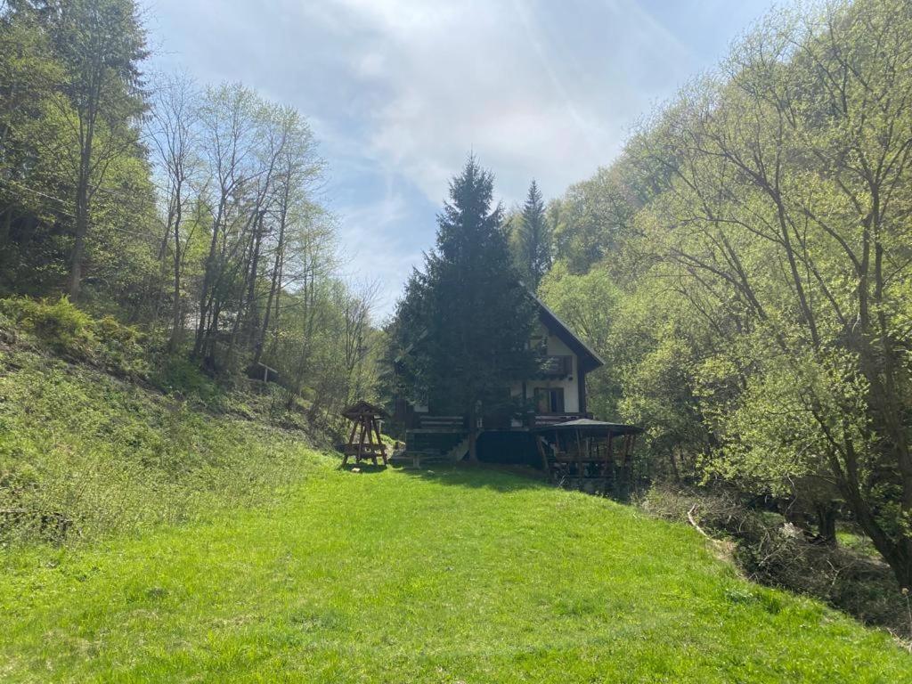 Casa De Vacanta Satic Piatra Craiului La Doi Viermi エクステリア 写真