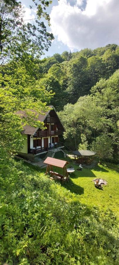 Casa De Vacanta Satic Piatra Craiului La Doi Viermi エクステリア 写真